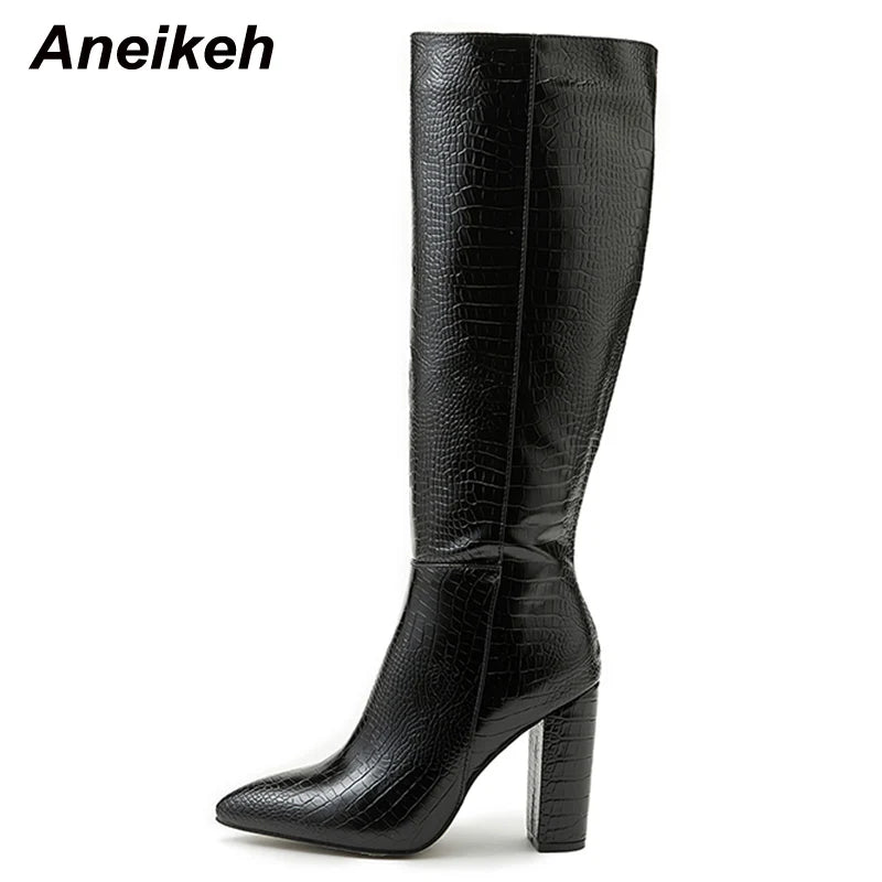 Aneikeh Pointed Block Heel Boots
