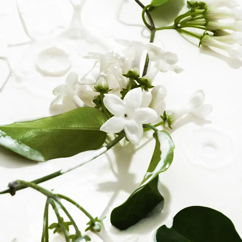 Vanilla Jasmine Glow