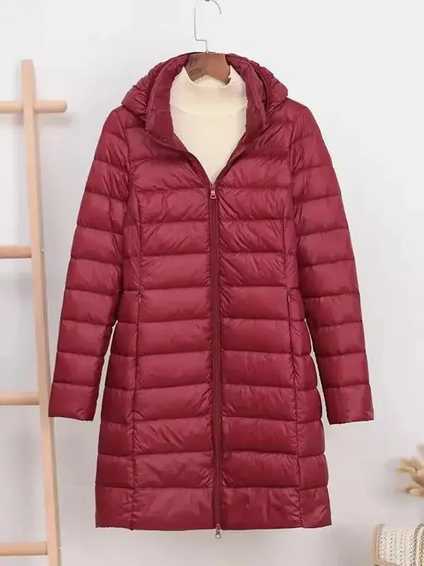 SleekWinter Coat